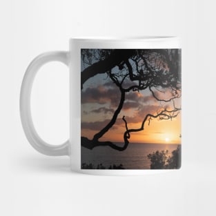 Sunrise over coast framed by silhouette foliage of pohutukawa tree on edge of slope. Mug